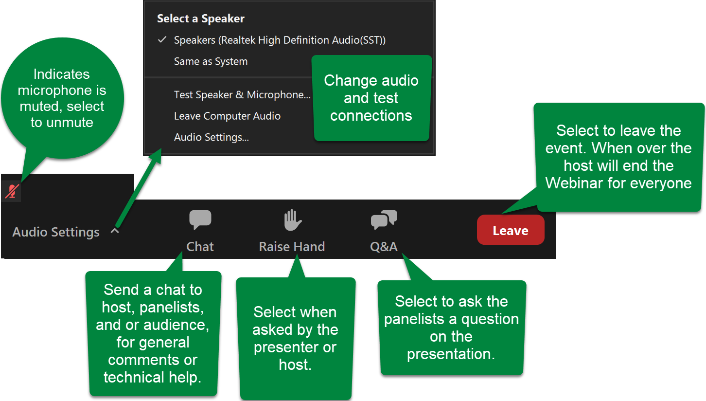 Zoom Webinar Platform Interface